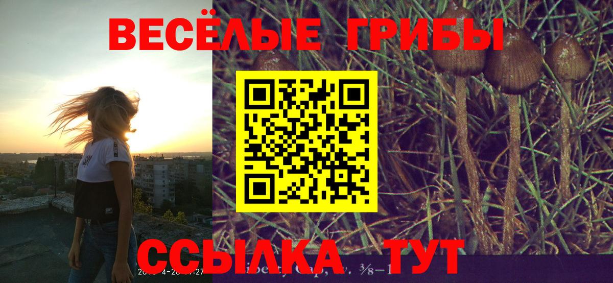 Псилоцибиновые грибы прущие грибы Коломна